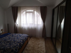 Villaweb Penthouse 2rooms,5min drive center city &Airport